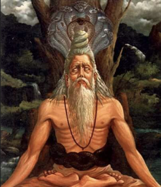 Sri Patanjali Nadi Astrology Online | Patanjali Nadi Predictions in Vaitheeswaran Koil<br />
