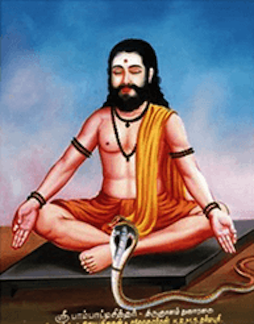 Sri Pambatti Nadi Astrology Online | Pambatti Nadi Predictions in Vaitheeswaran Koil<br />

