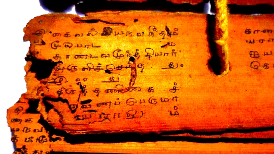 Online Nadi Astrology in Panaji, Goa | Palm-Leaf Astrology Consultation<br />
